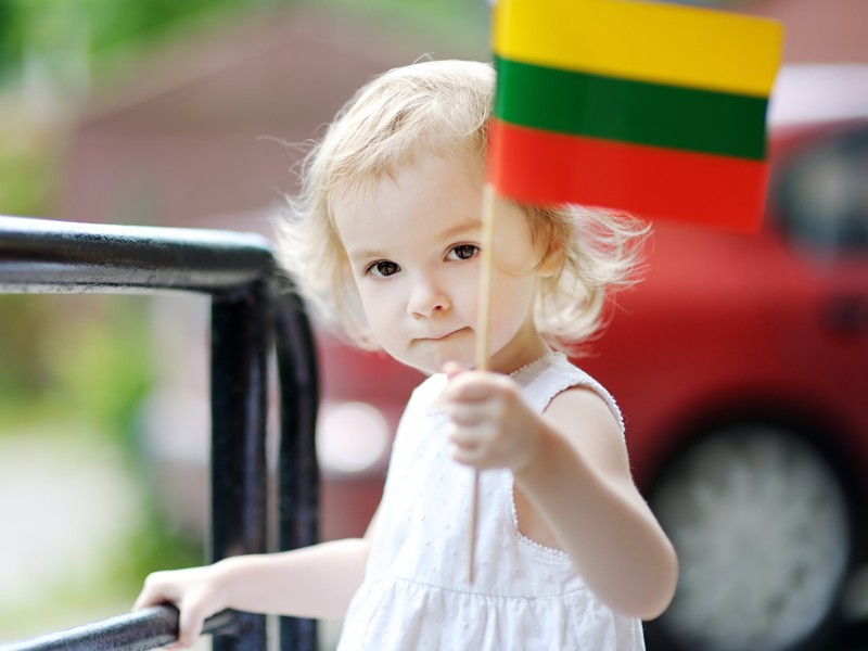 Weak points of legislation concerning  surrogacy in Lithuania