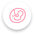 Cultivation of the obtained embryos