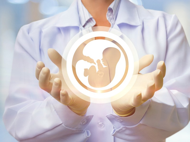 Arten von Embryonen für IVF-Verfahren